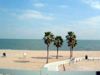 Corpus Christi Beachfront