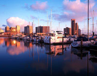 Corpus Christi Marina